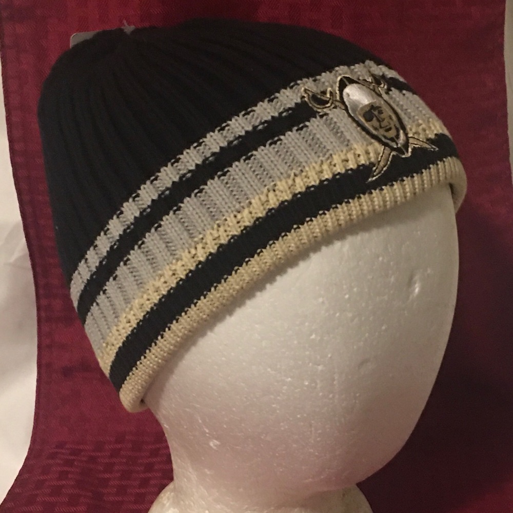 Raiders Team Colors beanie